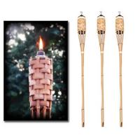 Bambu Meşale 90 cm Lik