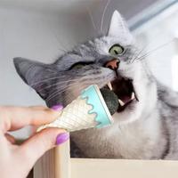 Dondurma Şeklinde Kedi Otu Nanesi