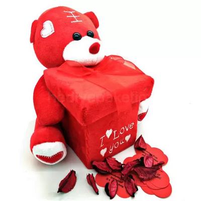 Her Güne Bir Aşk Mesajı Taşıyan Peluş Ayıcık